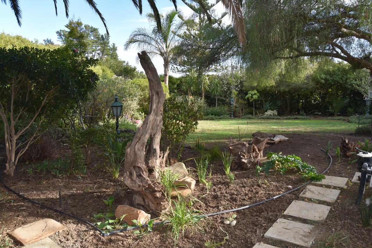Almond Cottage Bed & Breakfast Somerset West Εξωτερικό φωτογραφία