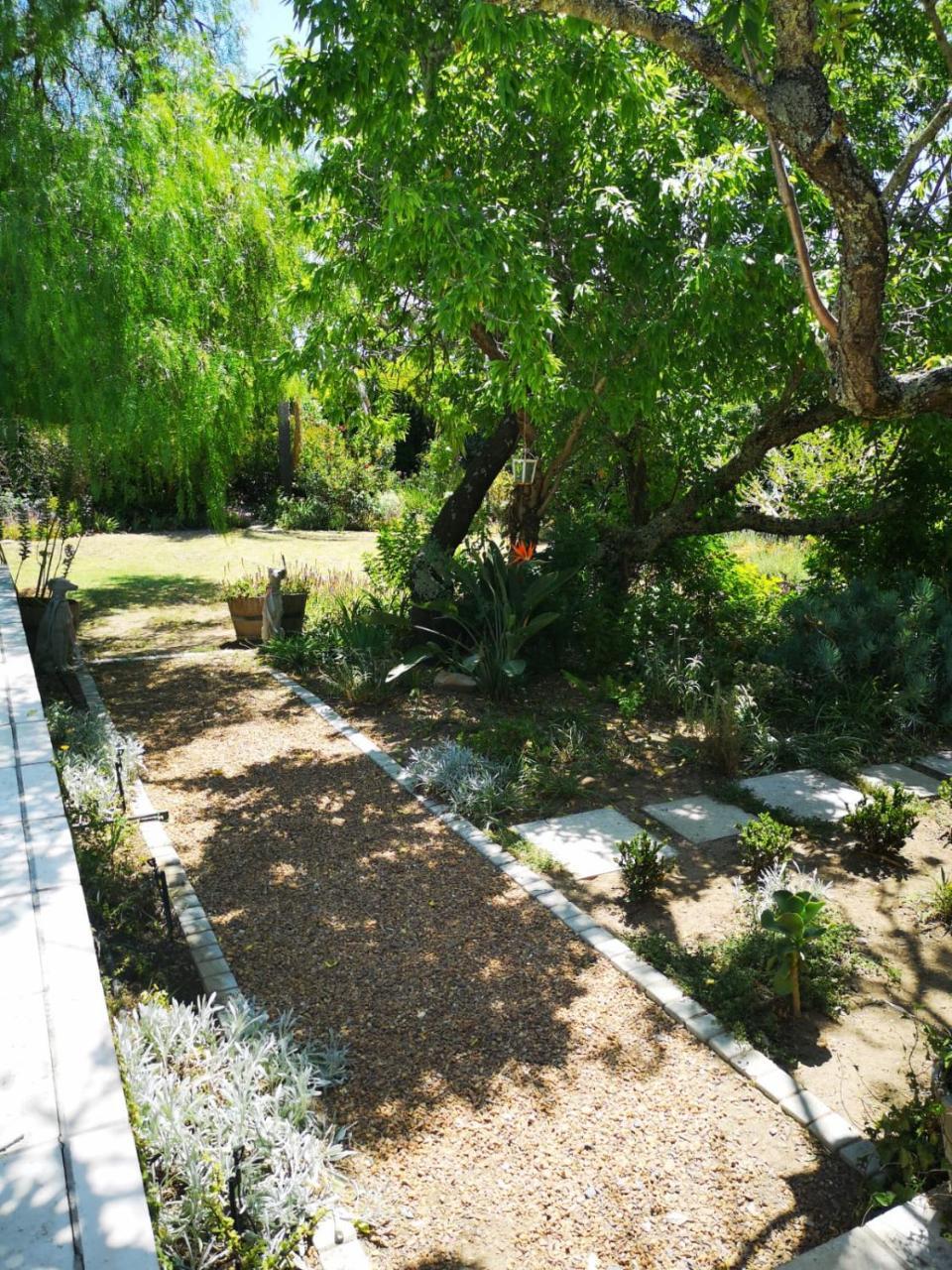 Almond Cottage Bed & Breakfast Somerset West Εξωτερικό φωτογραφία