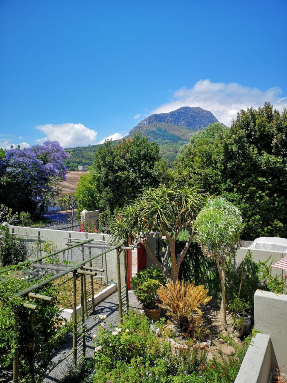Almond Cottage Bed & Breakfast Somerset West Εξωτερικό φωτογραφία