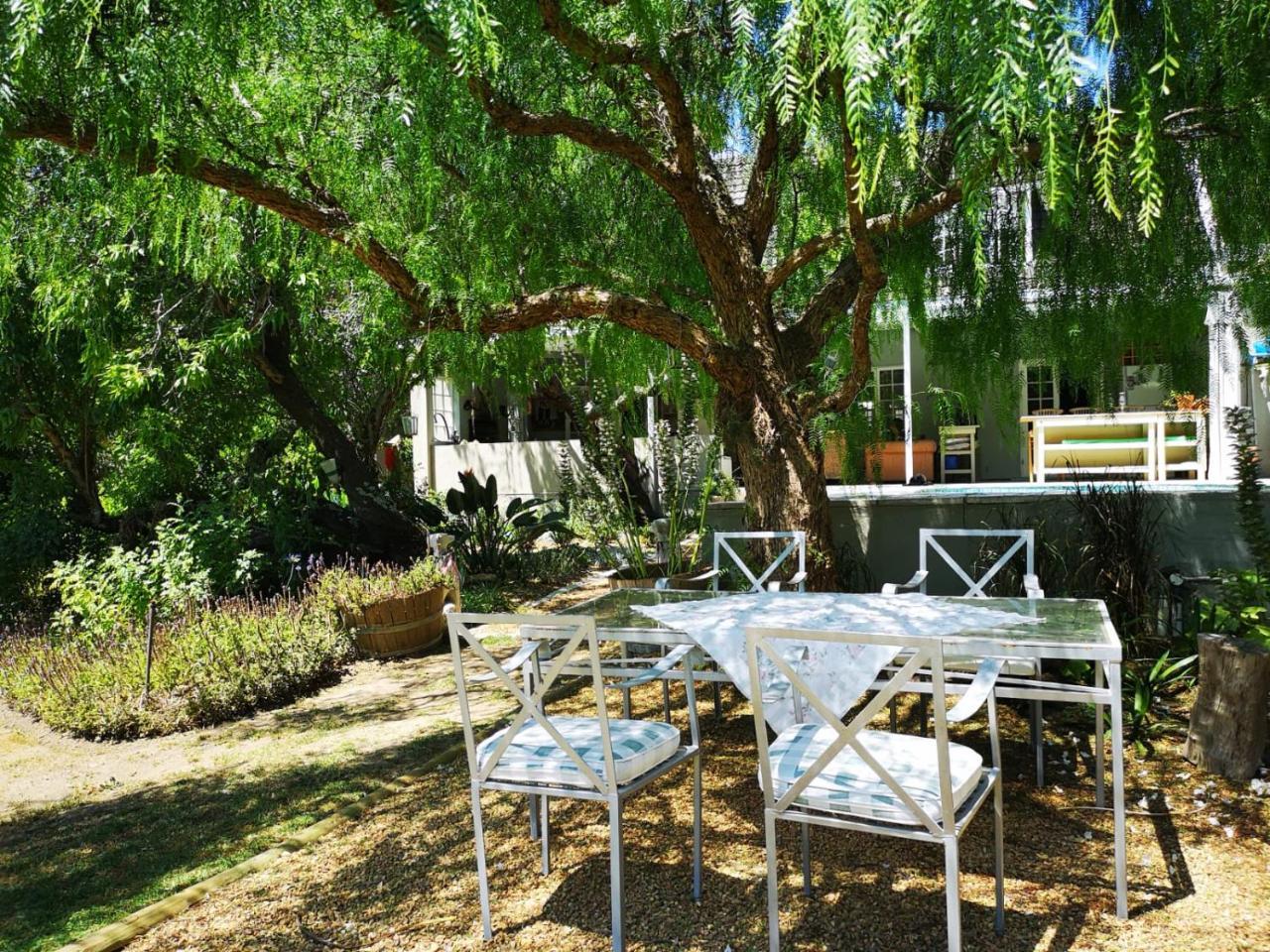 Almond Cottage Bed & Breakfast Somerset West Εξωτερικό φωτογραφία