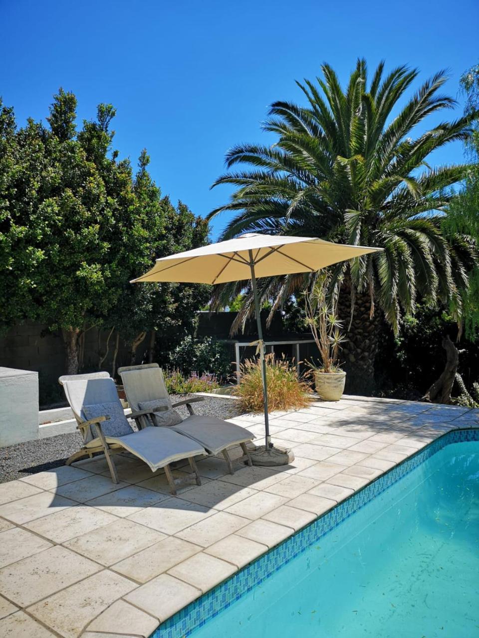 Almond Cottage Bed & Breakfast Somerset West Εξωτερικό φωτογραφία