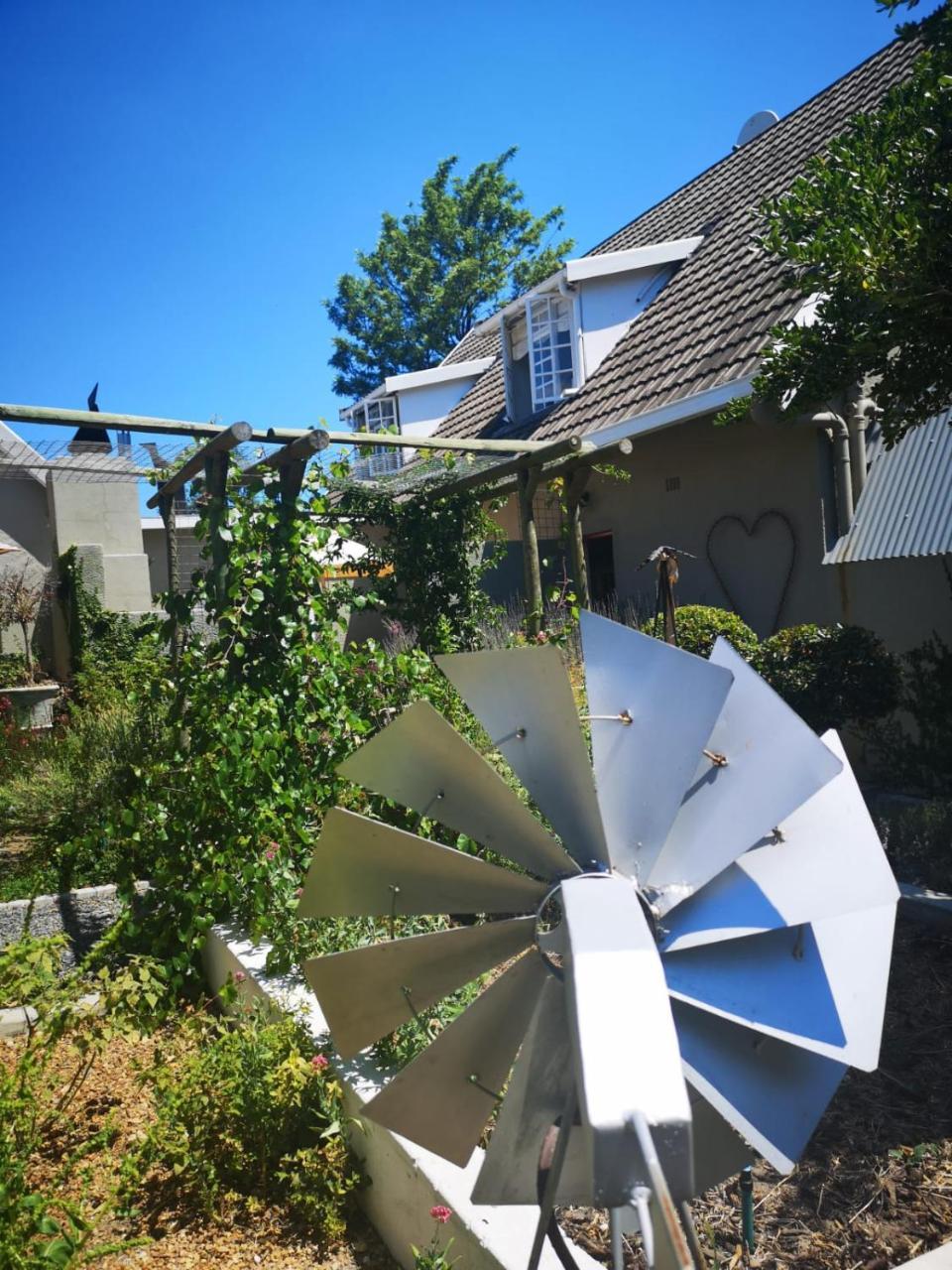 Almond Cottage Bed & Breakfast Somerset West Εξωτερικό φωτογραφία